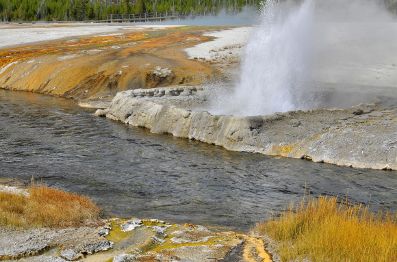Cliff Geyser en activité (Yellowstone NP, USA)